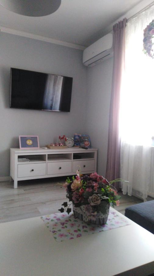 Apartament Antek Klimatyzowany Oswiecim Ngoại thất bức ảnh