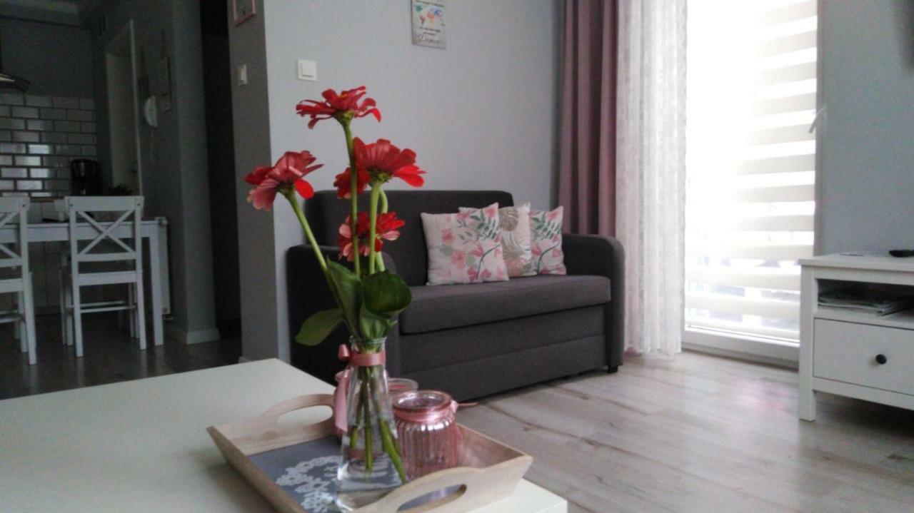 Apartament Antek Klimatyzowany Oswiecim Ngoại thất bức ảnh